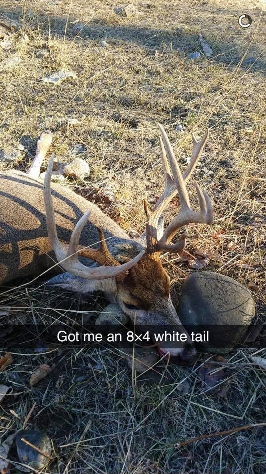 Hunting trophy